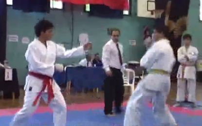 Sergio Pereyra: Torneo Interestilos de Karate.
